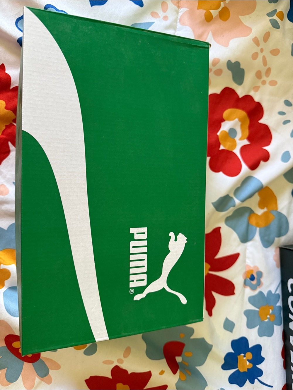 Puma White Logo on Green Box Wall Art